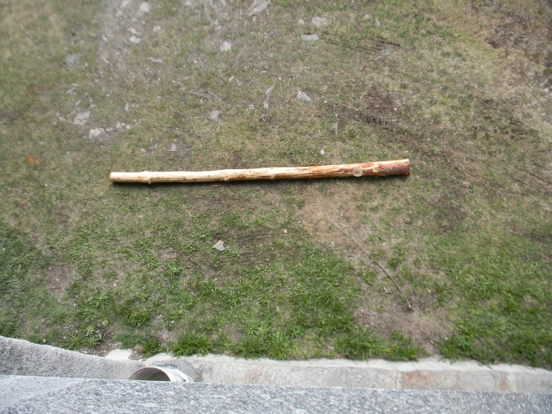 DSCN8251
